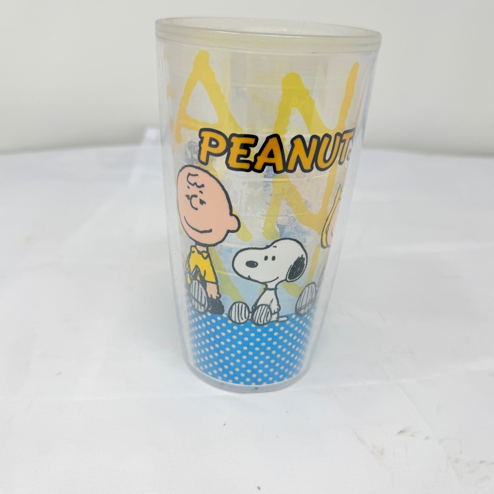 Tervis Peanuts Snoopy Charlie Brown Insulated Tumbler 16oz 2011 USA *read*